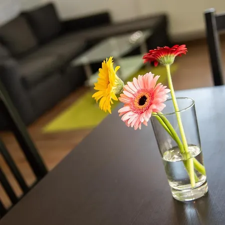 Apartment Saeli *